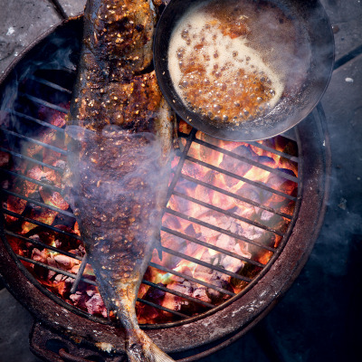 Braaied yellowtail with apricot ginger glaze