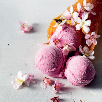 Home-made raspberry frozen yoghurt with brandy-snap cones