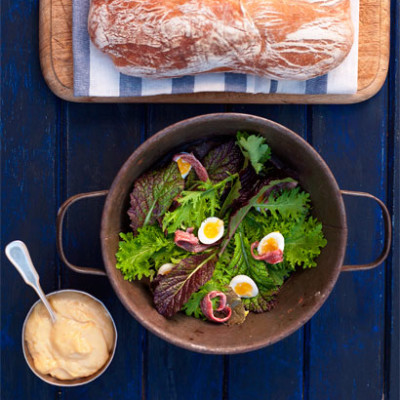 Baby mustard lettuce leaves with aioli