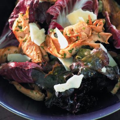 Warm oyster mushroom salad on red leaves