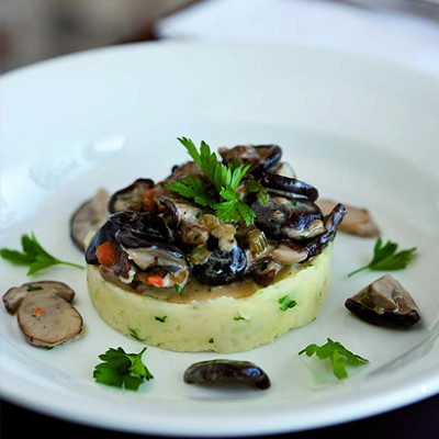 Wild mushroom ragout on herb mash