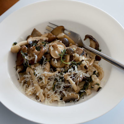 Wild mushroom risotto