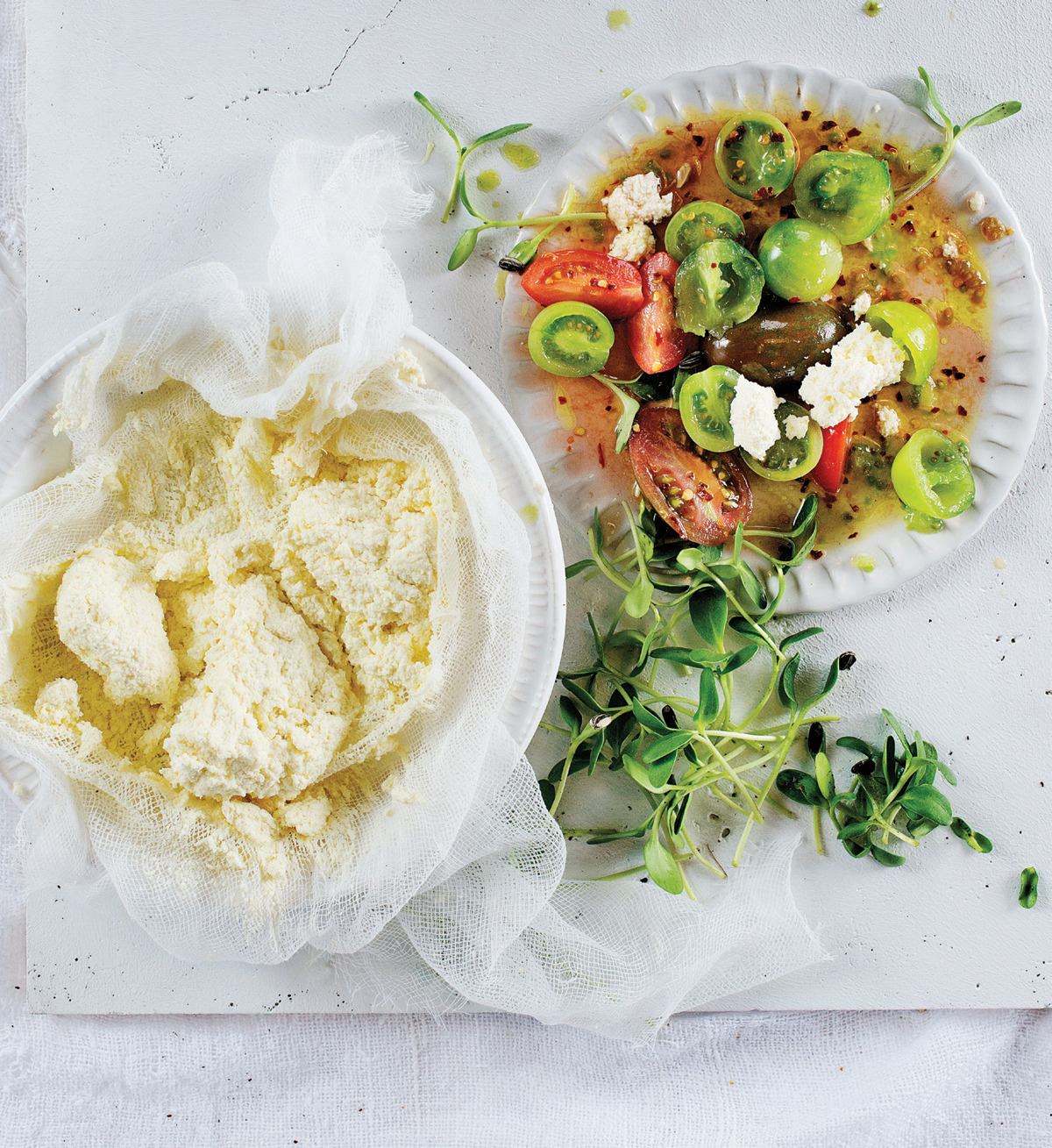 Home-made ricotta cheese