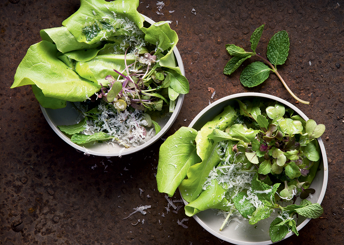 mint-and-apple-dressed-garden-lettuce-bowls