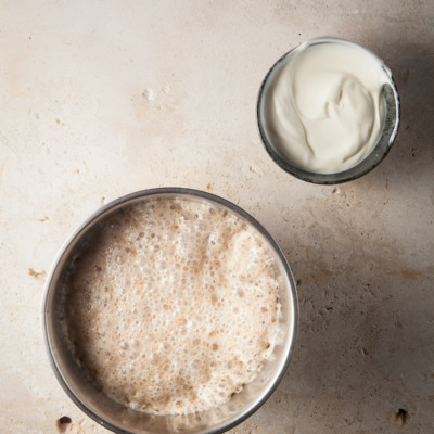 Sourdough starter