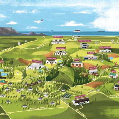 Sponsored: It’s just a hop, skip and a jump to the Durbanville Wine Valley
