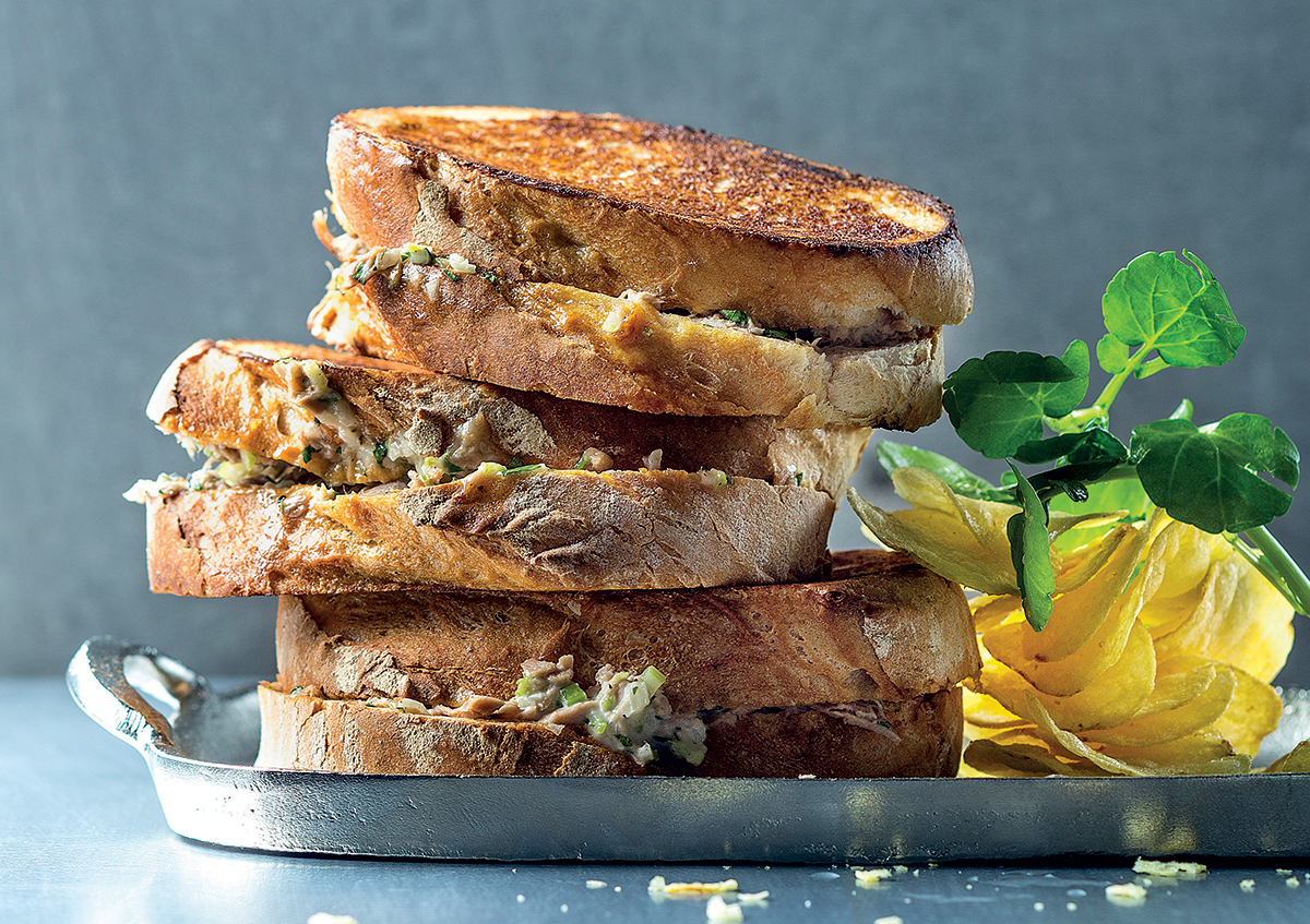 Toasted tuna mayo sandwich recipe