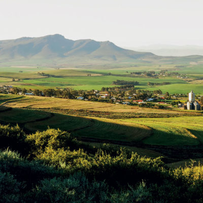 Where to eat in the Swartland