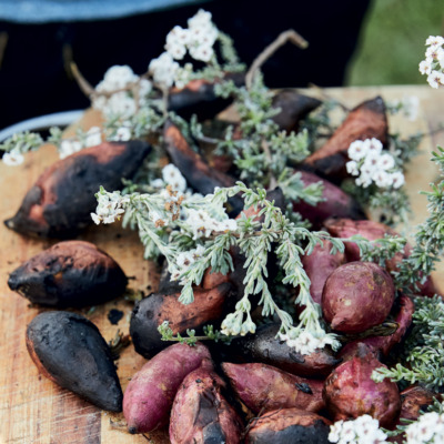 Coal-roasted sweet potatoes