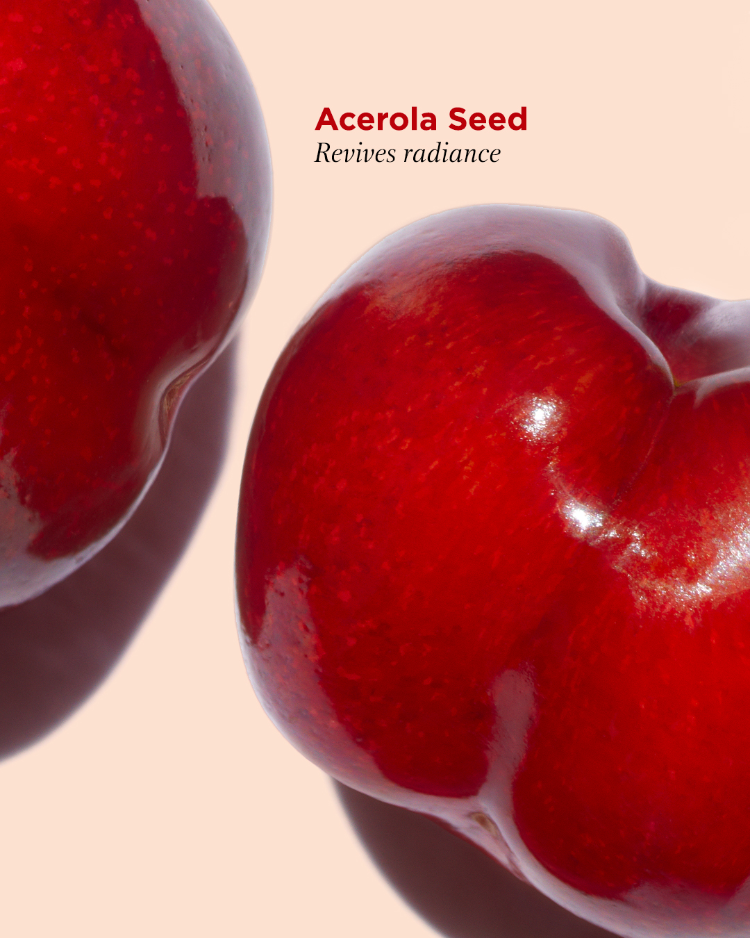 Extra_Firming_Energy_Ingredient_Acerola_Seed_EN_Social_Networks.jpg