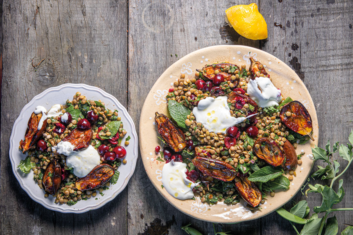 harissa-roasted-eggplants