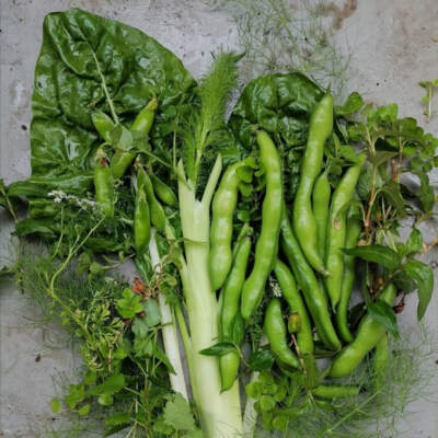 How to start a food garden on your balcony