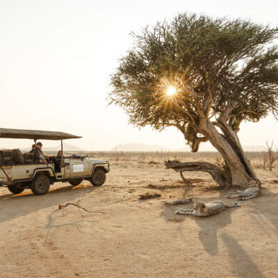 Win a two-night stay at Last Word Madikwe, worth R45 000