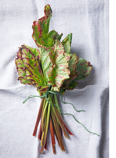 Rhubarb with leaves